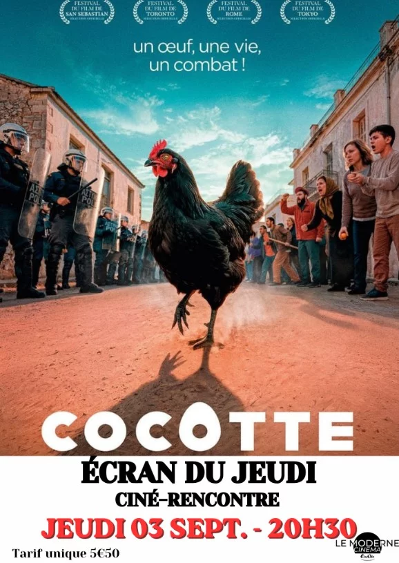 Ecran du Jeudi :" Cocotte "