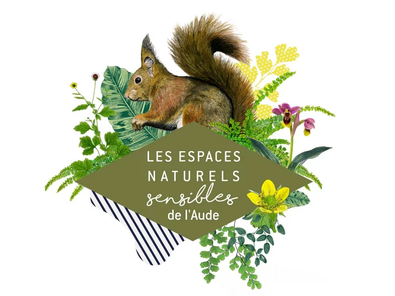 ENS - AMBIANCE NOCTURNE SUR LA GANGUISE