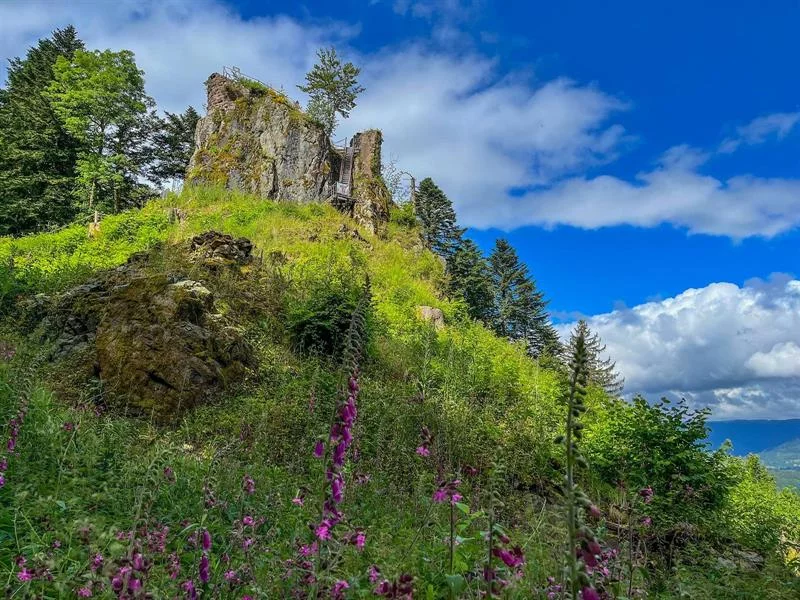 Sentiers Plaisir : Le château de la Roche