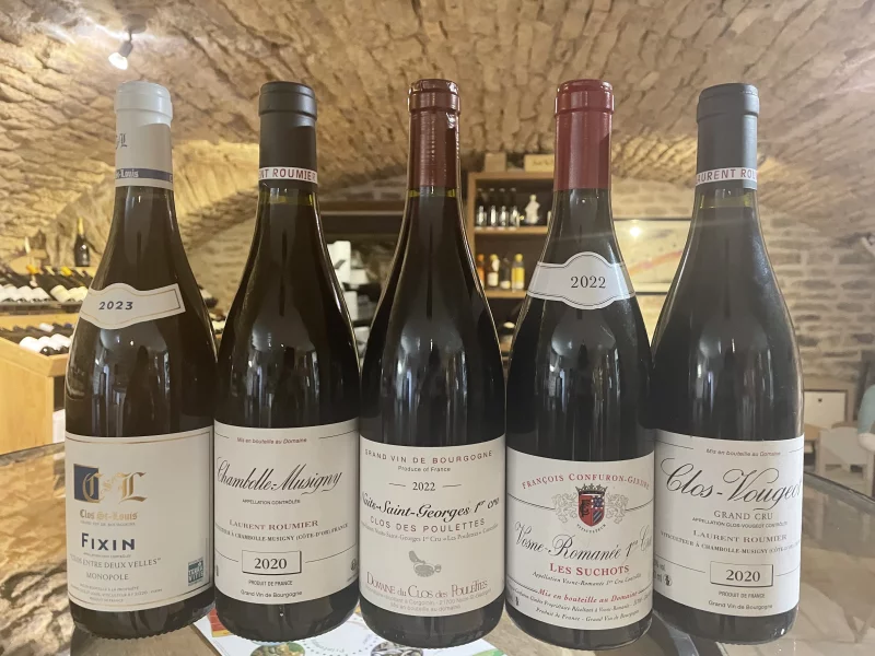 Voyage Sensoriel autour de la Côte de Nuits