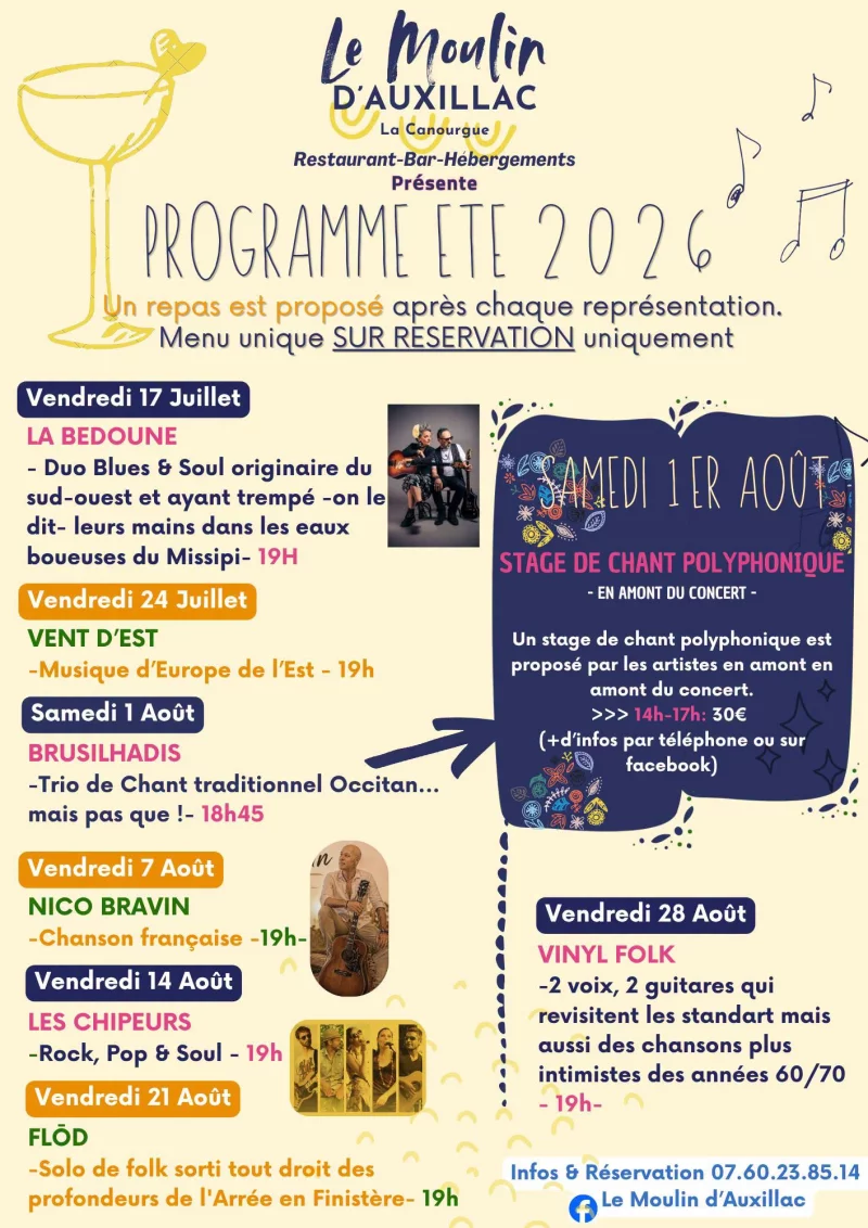 CONCERT AU MOULIN : "VINYL FOLK"