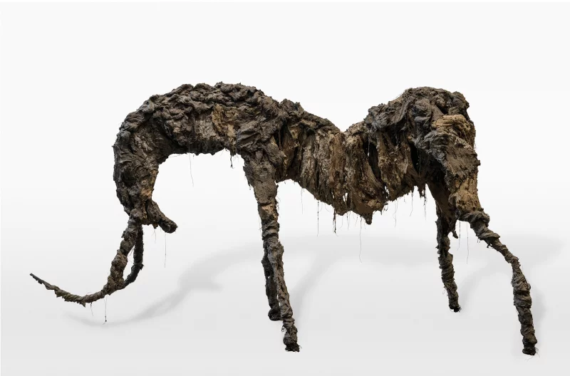 Exposition "Un désir souterrain" à la Maison Daura