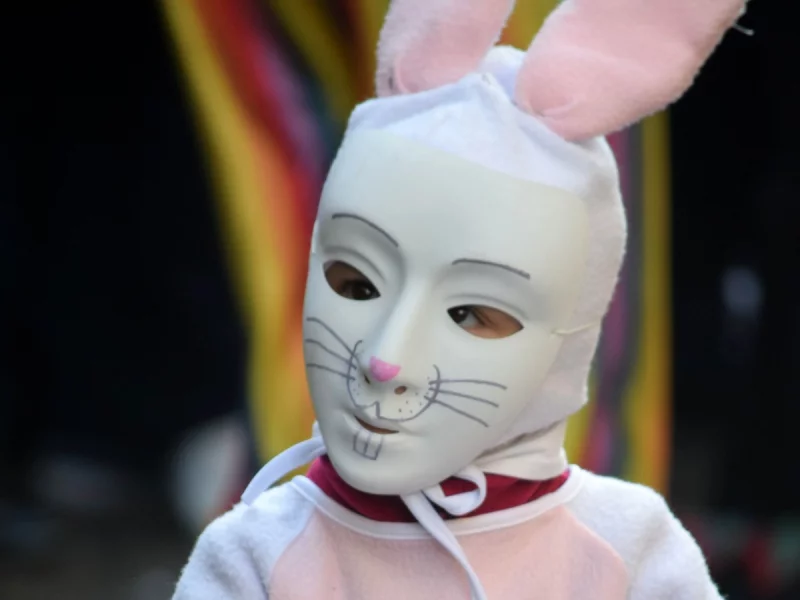 CARNAVAL DE LIMOUX 2027 - CARNAVAL DES ENFANTS