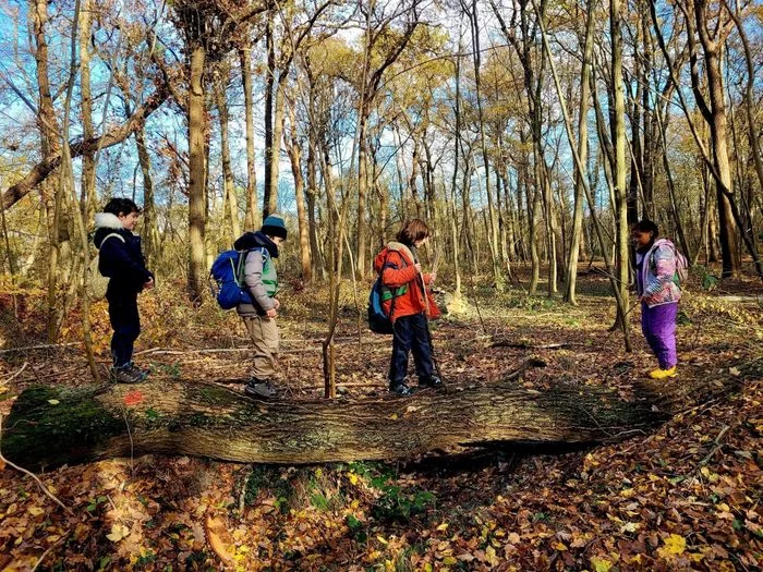 "Mercredi j'ai forêt !" à Meudon