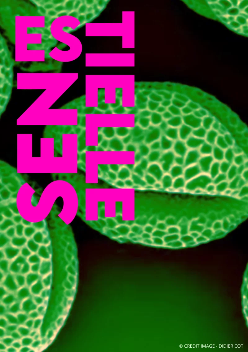 EXPOSITION ESSENTIELLE - LA NATURE PAR LES SENS
