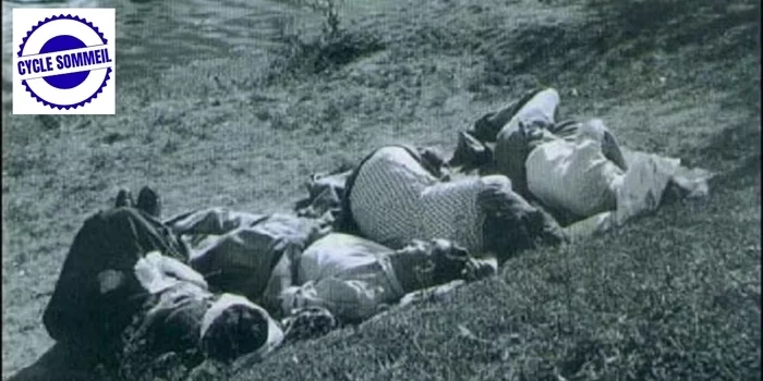 Exposition "L'éloge de la sieste"