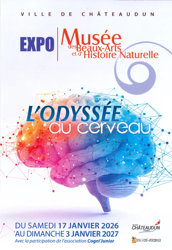 Quand tu dors, ton cerveau travaille