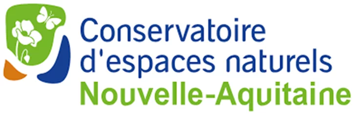 Animation nature : A la découverte des archnides !
