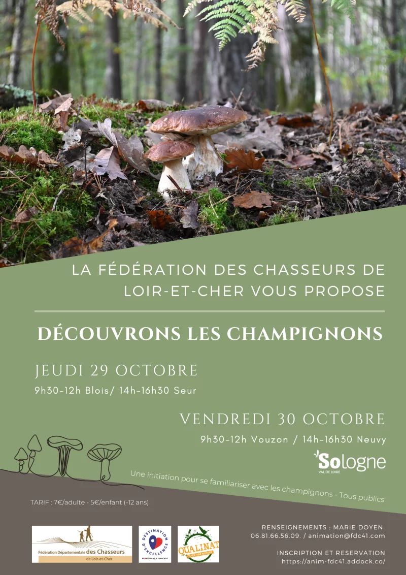 Instants Nature - Découvrons les champignons à Vouzon