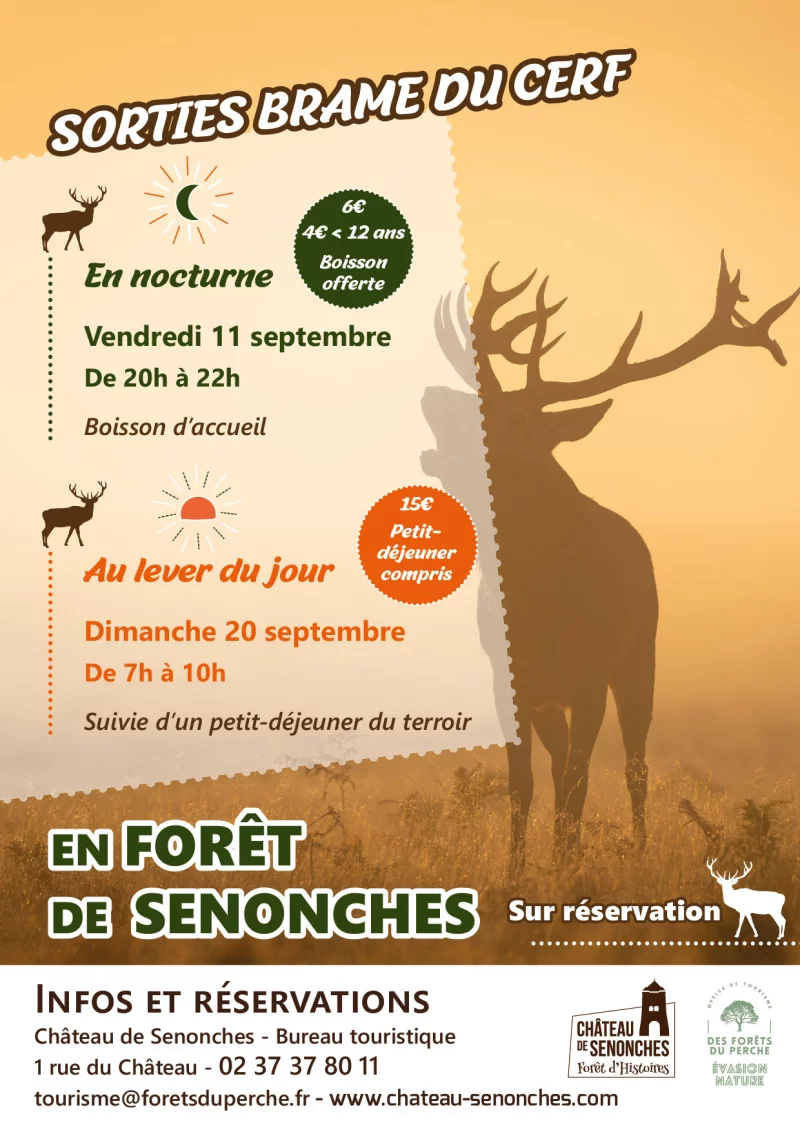 Sorties - Brame du Cerf
