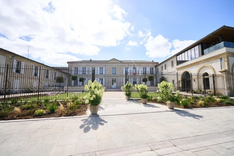 Immersion sensorielle au Château Grand-Puy Ducasse