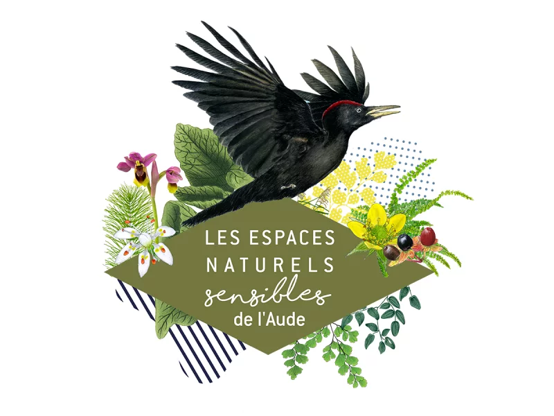 ENS - LES AILES DE LA NUIT
