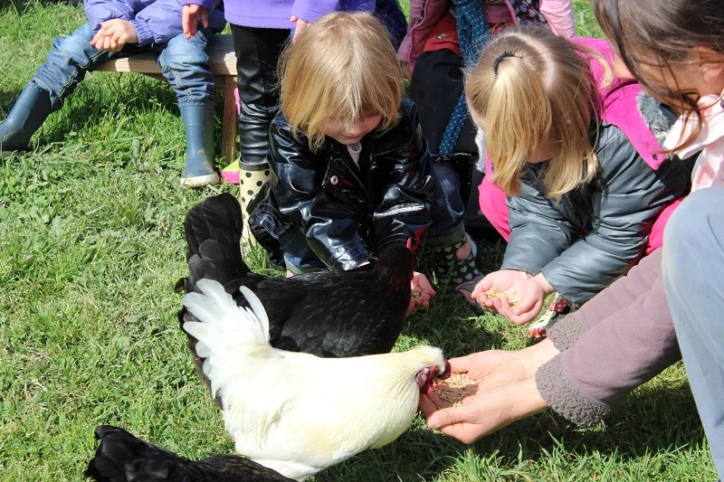 Atelier enfant - Mes 1ères bottes - Nourrissage des animaux de la ferme