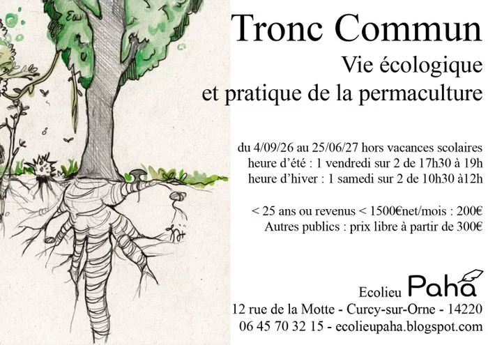 Tronc Commun