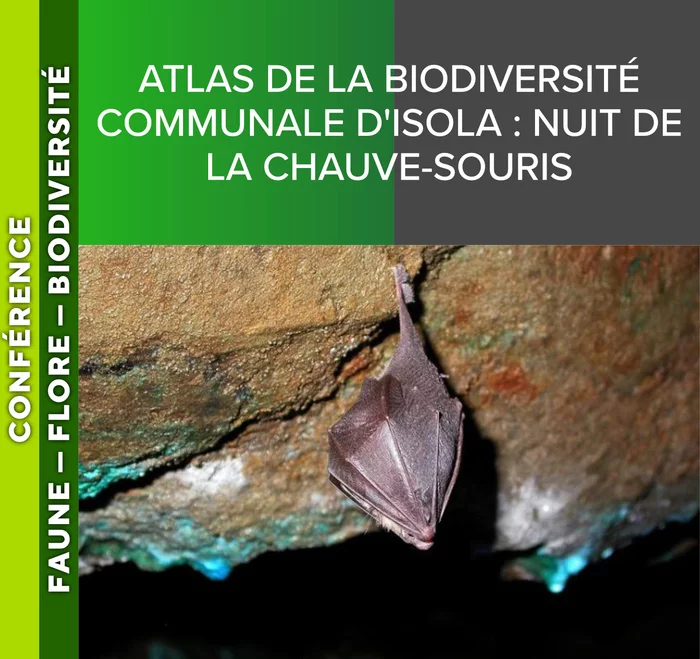 ALPES AZUR MERCANTOUR - Atlas de la biodiversité communale d'Isola : nuit de la chauve-souris