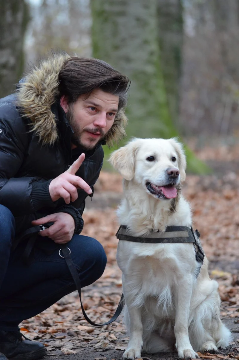 Promener son chien : Les clés pour comprendre les codes du quotidien.