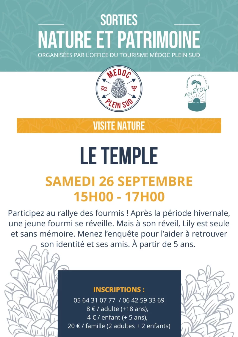 Sortie nature. Rallye des fourmis