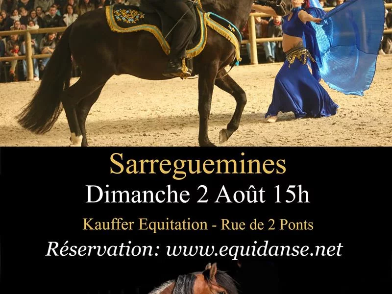 Spectacle EquiDanse
