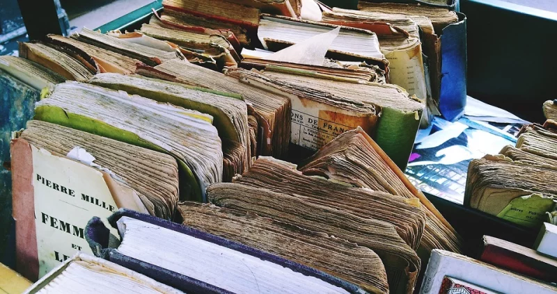 Brocante des Platanes à Puy-l'Evêque