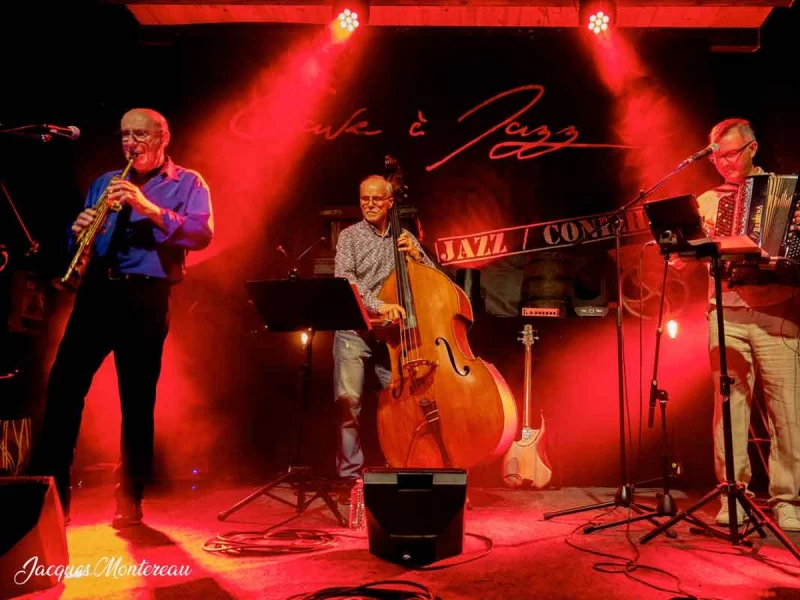 MUSICOLORIS TRIO WORLD MUSIC  - CHAPELLERIE DE MONTAZELS