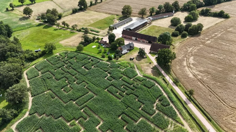Chasse au trésor à la ferme