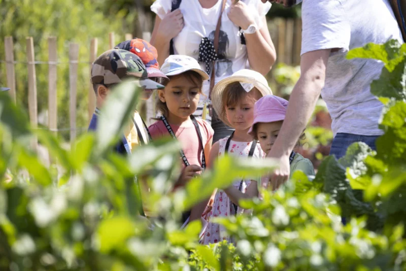 LES P’TITS ATELIERS DE LA BIODIVERSITE