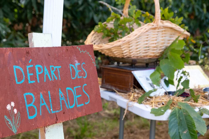 Balade dégustation : à la découverte des plantes de la Prévalaye