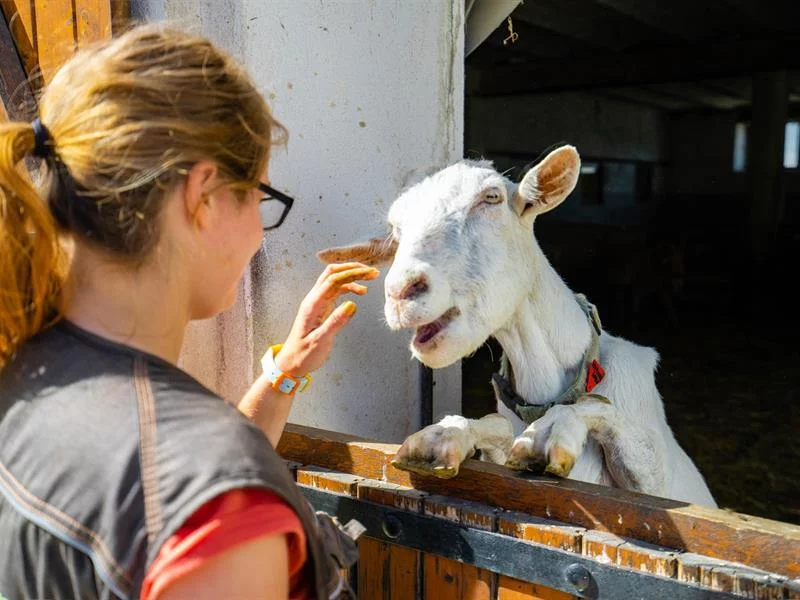 Atelier-visite Petit soigneur animalier à la Hardonnerie