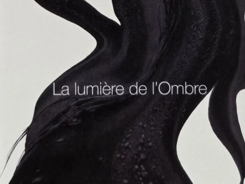 LA LUMIÈRE DE L'OMBRE (MATIÈRES NOIRES)
