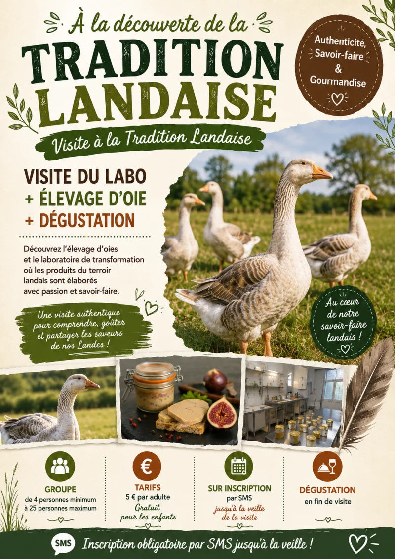 À la découverte de la Tradition Landaise