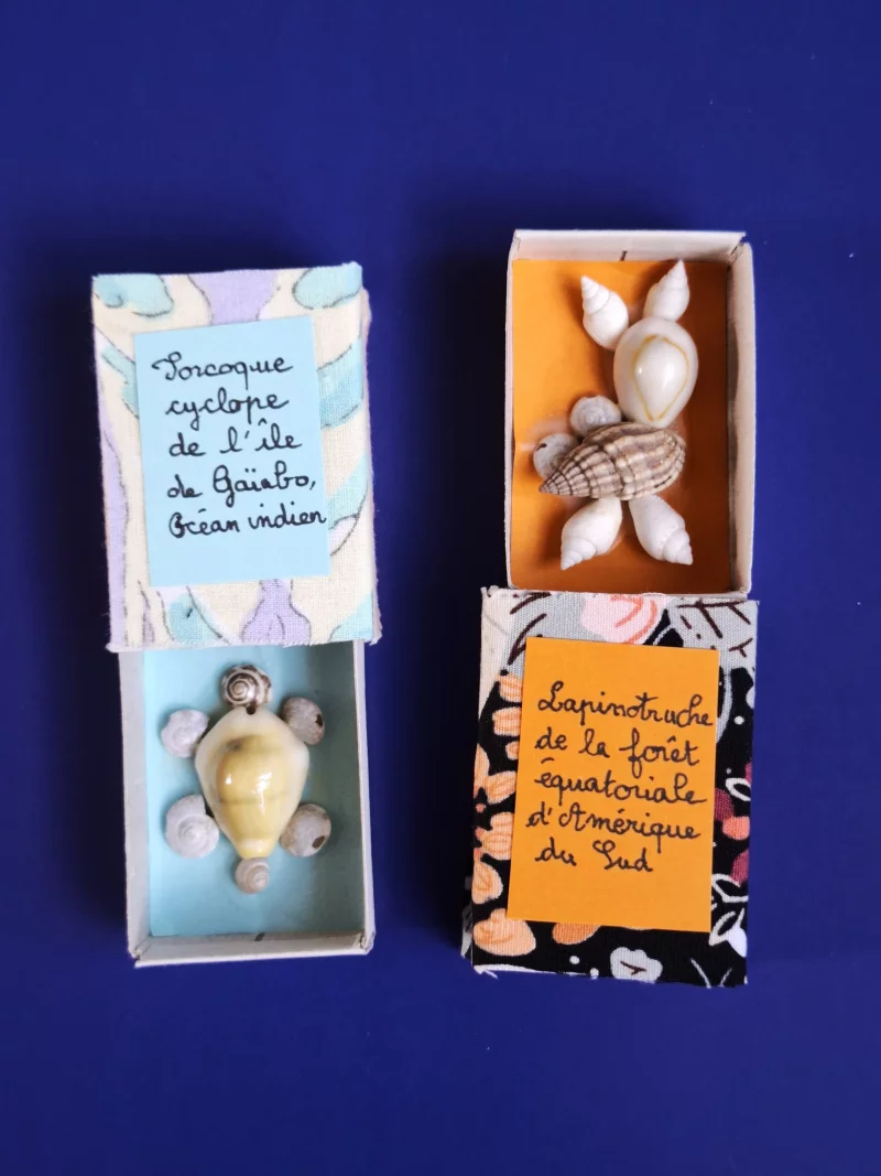 JEU(X)DIS D’ÉTÉ | Atelier créatif "Chimère coquillage"