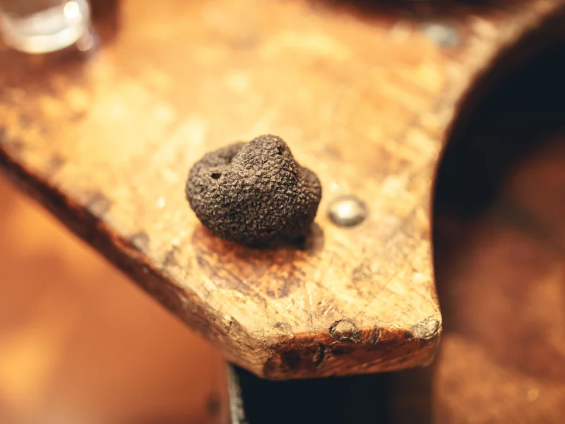 MARCHÉ AUX TRUFFES & PRODUITS DE L'AUDE