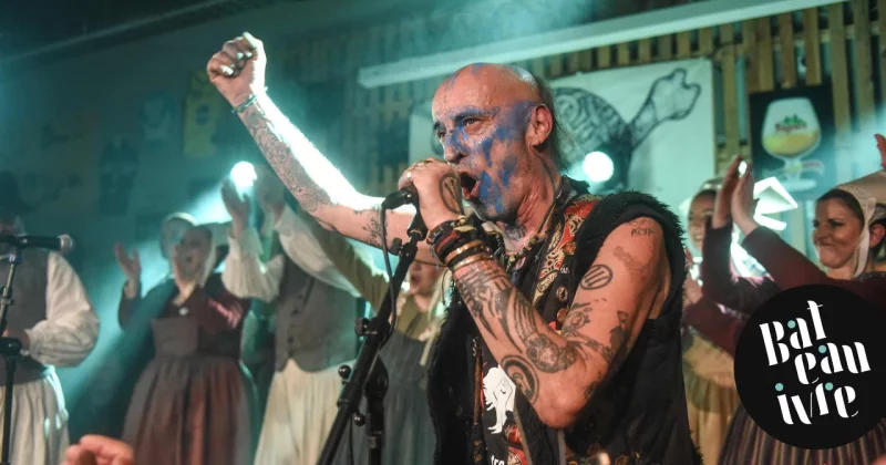 Les Ramoneurs De Menhirs   Toxic Frogs