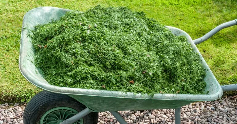 ATELIER "DES SOLUTIONS POUR RÉUTILISER FACILEMENT LES DÉCHETS DE JARDIN"