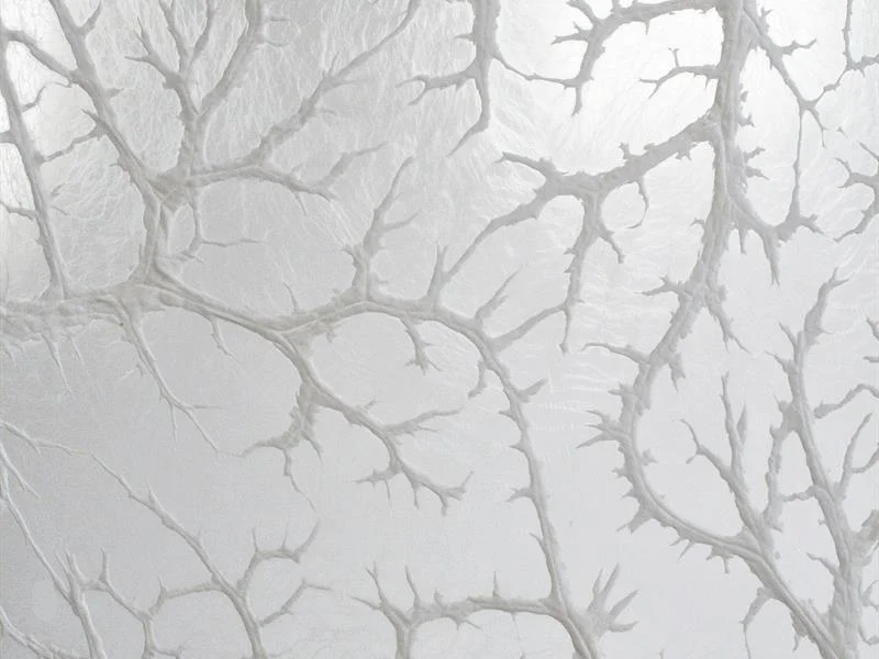 Exposition Toute la beauté du monde