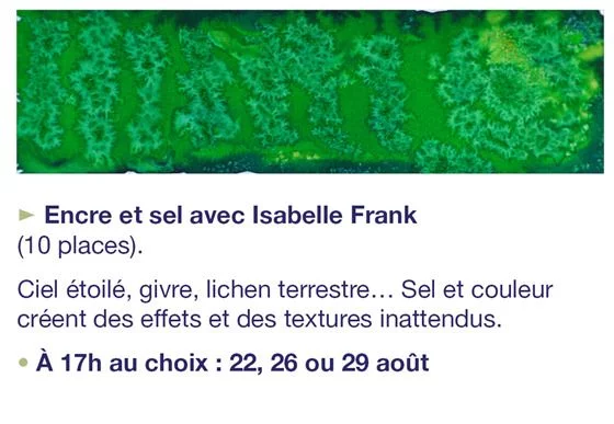 Atelier de pratiques artistiques : Encre et sel