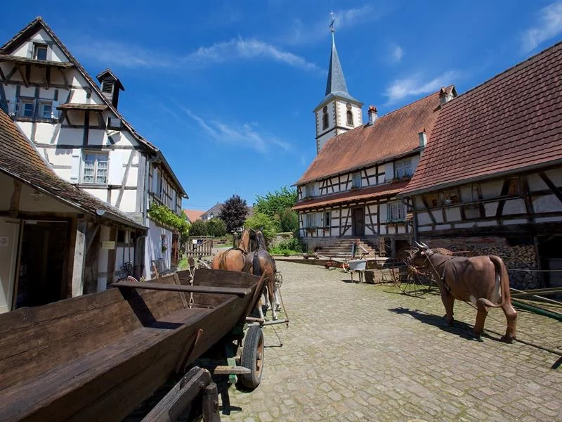 Visite guidée de la Maison Rurale de l'Outre-Forêt