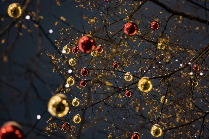 Décoration des sapins de Noël
