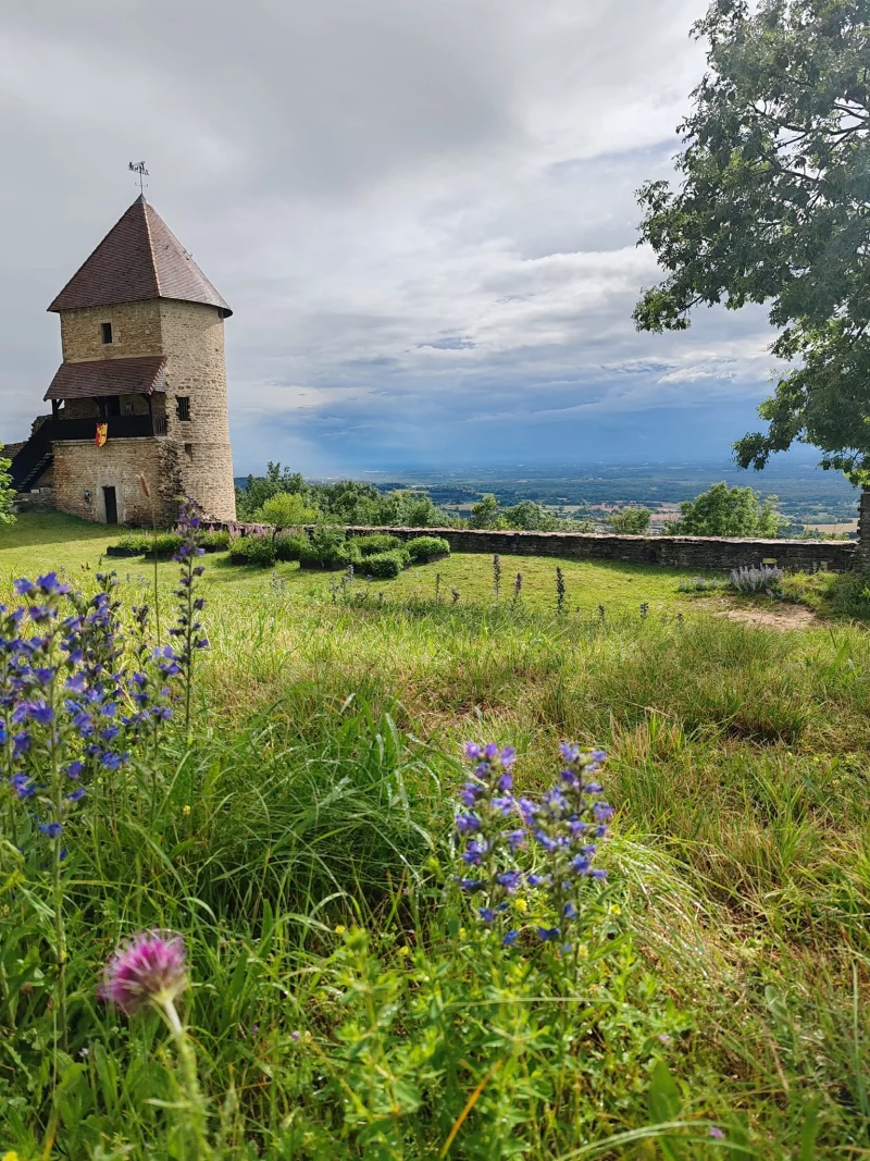 Visites guidées  - portes ouvertes au Château de Chevreaux
