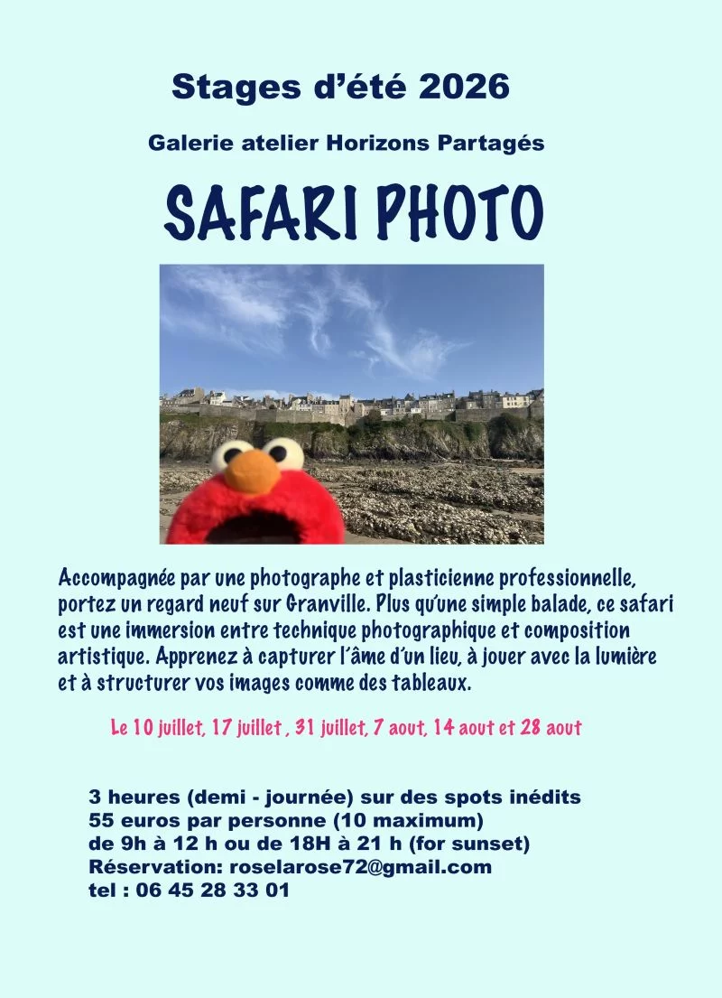 Stage d'été - Safari photo