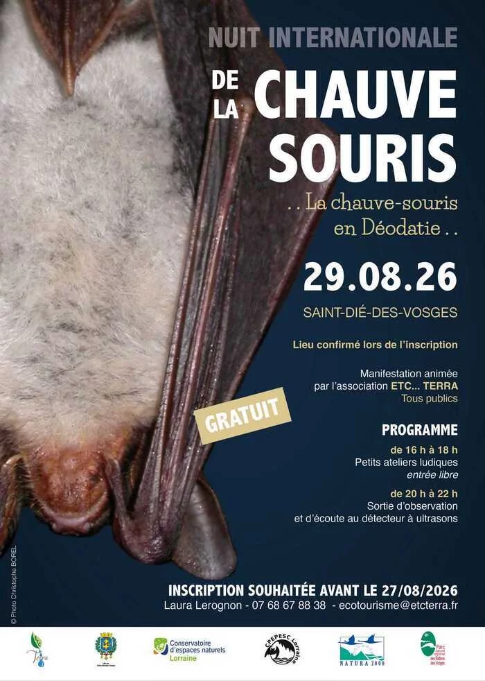 La chauve-souris en Déodatie