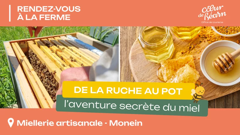 Rendez-vous à la ferme : De la ruche au pot