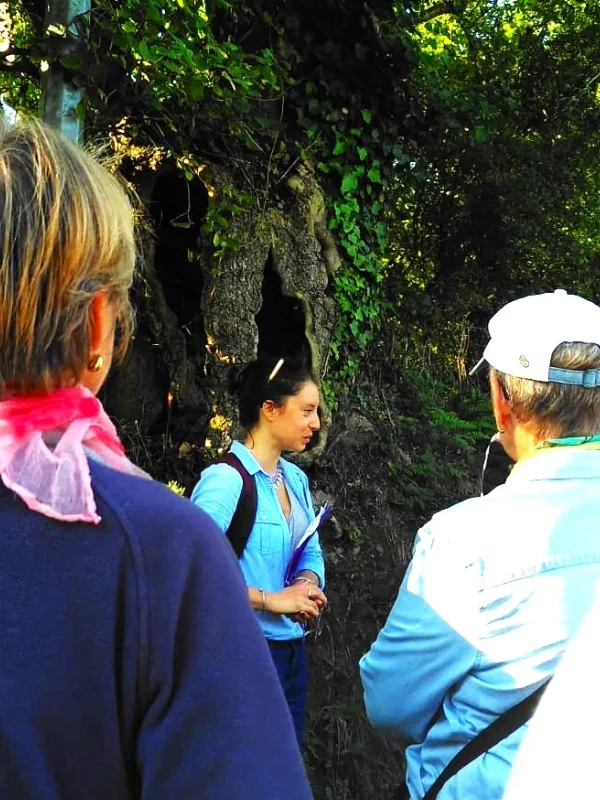 Le remembrement : histoire du bocage