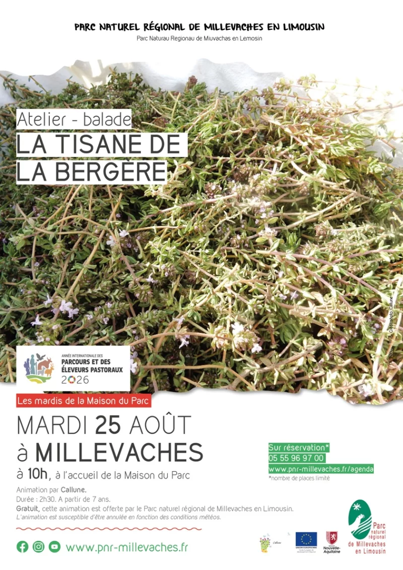 Atelier La tisane de la bergère