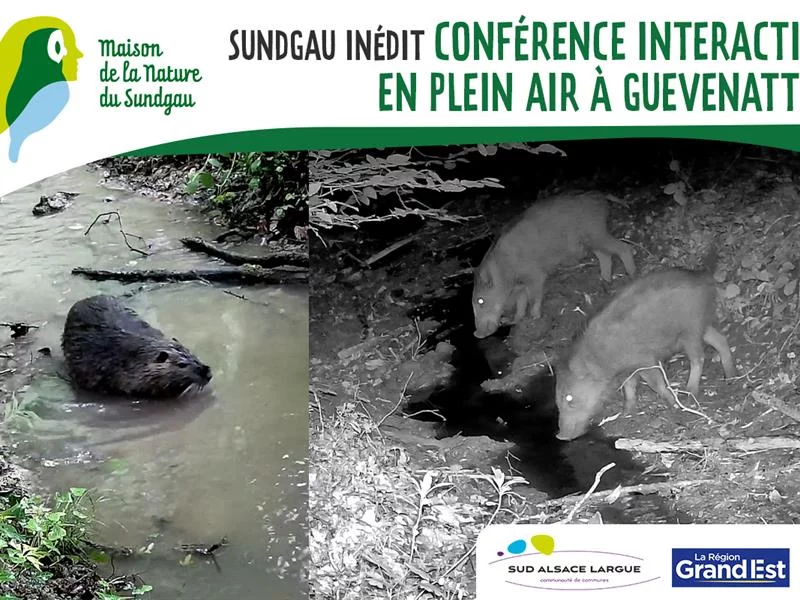 Conférence interactive en plein air à Guevenatten