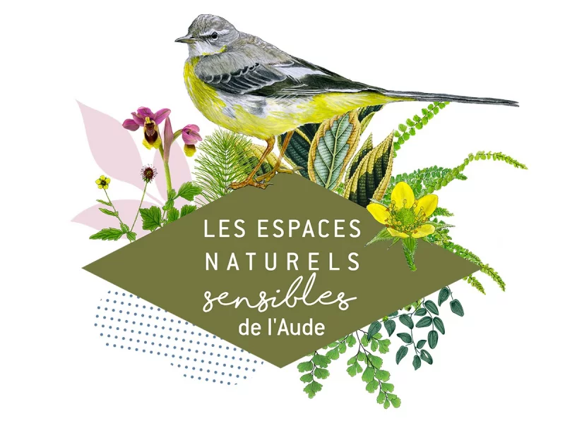 ENS - COMMENT FAVORISER LA BIODIVERSITÉ DES JARDINS ?