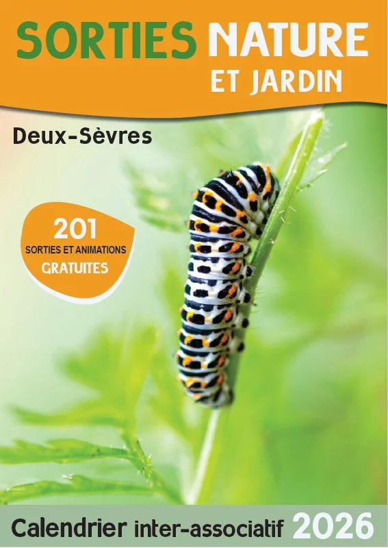 SORTIE NATURE : LA GESTION ÉCOLOGIQUE AU JARDIN