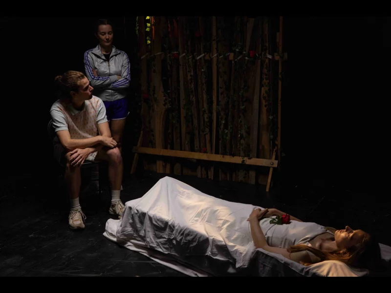 Spectacle "La fée du bois dormant"