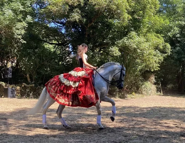 Spectacle équestre