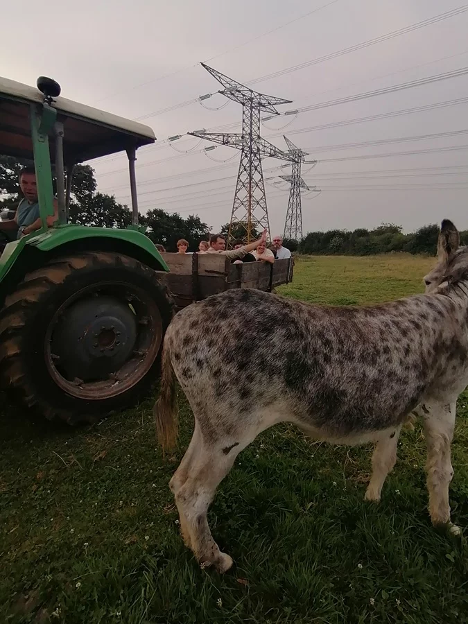 Visite à la ferme